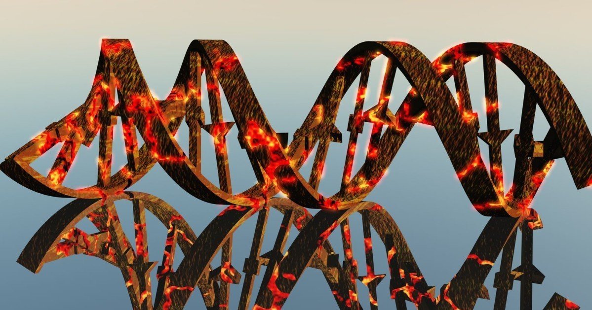 Secret #3 of the 5 Secrets to Anti-Aging