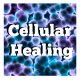 5R’s of True Cellular Detox and Healing