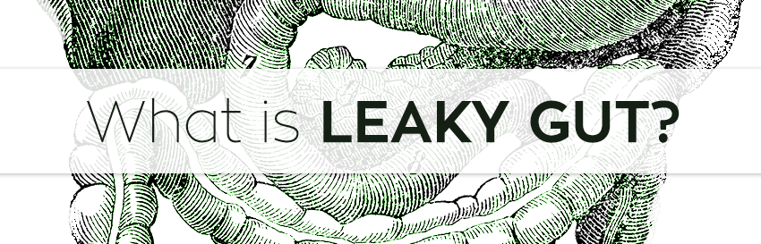 Leaky Gut