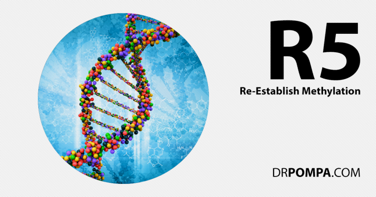 R5: Re-Establish Methylation, gene expression