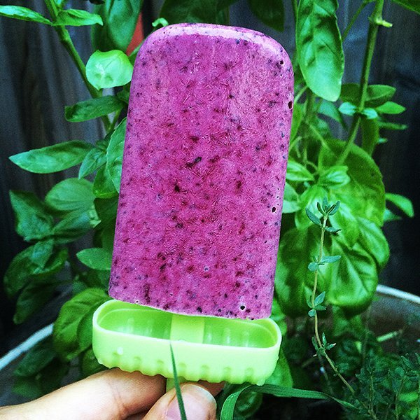 Creamy Berry Basil Pops