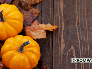 Pumpkin Favorites