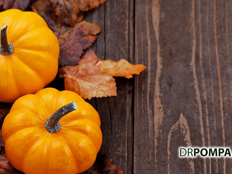 Pumpkin Favorites