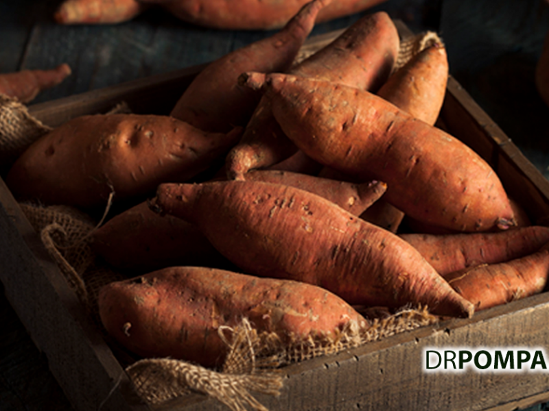 Sweet Potato Recipes